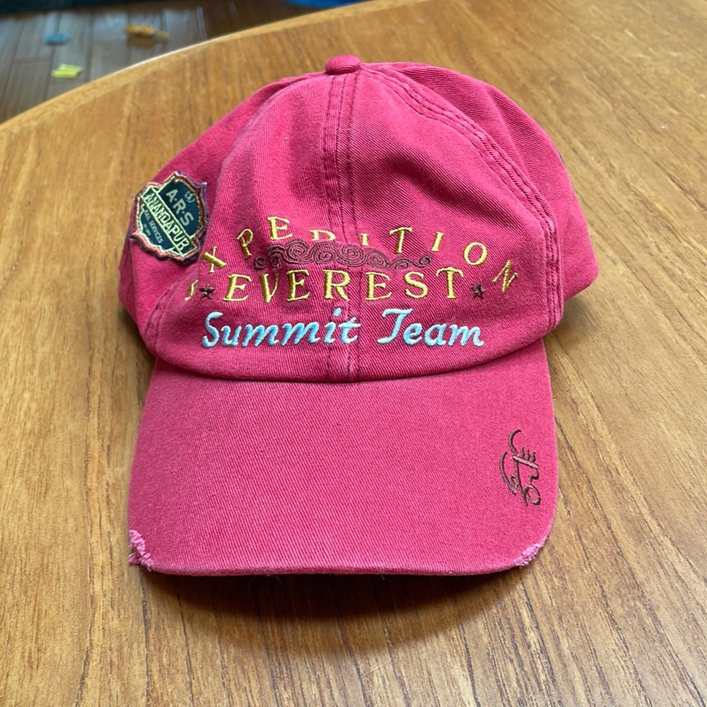 Disney expedition Everest hat